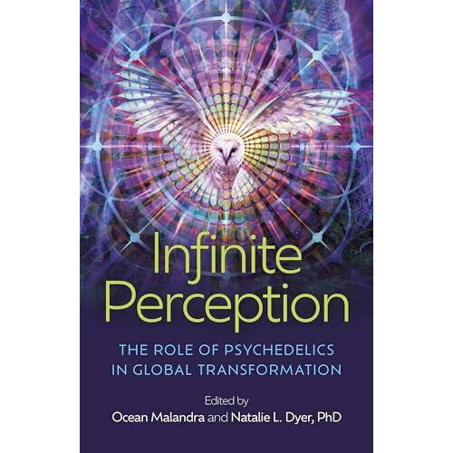 Infinite Perception by Natalie L Dyer Paperback Book