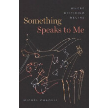 Something Speaks to Me by Michel Chaouli Paperback Book