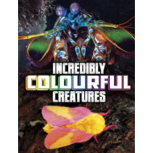 Incredibly Colourful Creatures by Megan Cooley Peterson Paperback Book