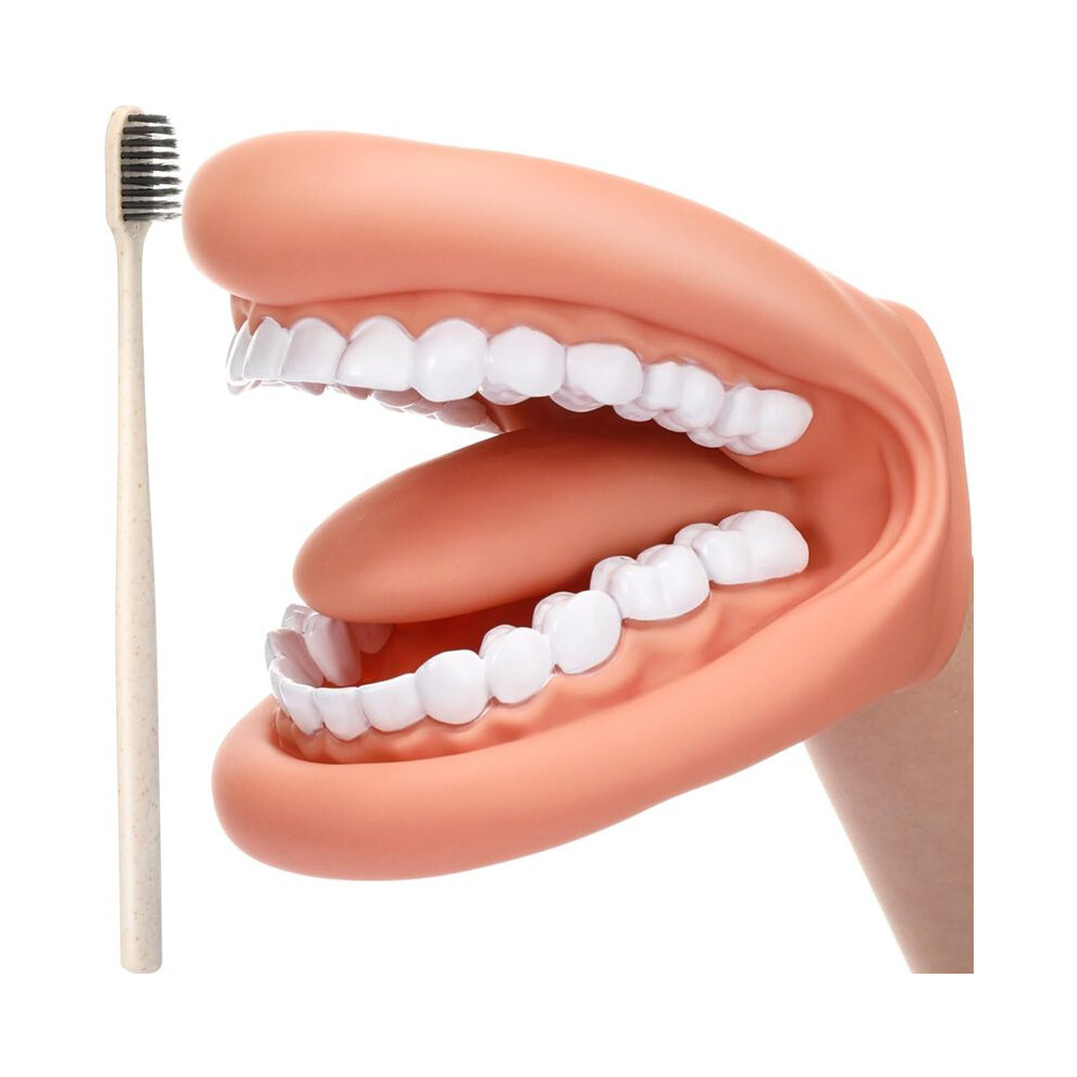 Tlily 1Pcs Mouth Puppet With Tongue Teeth Mouth Hand Puppet Dental Mouth Model With Toothbrush For Boy Girl Educational Tool