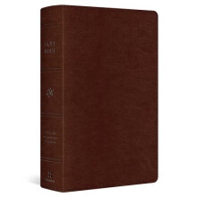 ESV Single Column Heritage Bible Other Book
