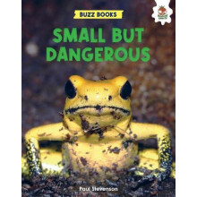 Small But Dangerous by Paul Stevenson Paperback Book
