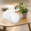 Weißer Schmuck Foto Diffusor Tragbar 10