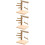 3Stk Papageien Trainings Holz Stand Hellbraun 10