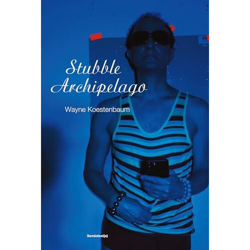 Stubble Archipelago by Wayne Koestenbaum Paperback Book