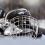 Acier Polyvalent Protection Confort Pour Sports 6