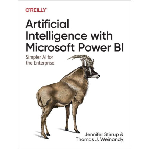Artificial Intelligence with Microsoft Power Bi by Thomas J Weinandy P