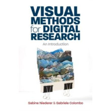 Visual Methods for Digital Research by Gabriele Colombo Paperback Book