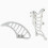Motorcycle Brake Disc Protection Device Dual-Caliper Bracket for  Light Bee X 6