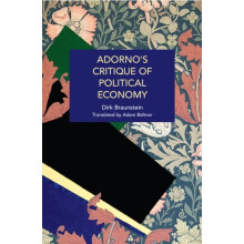 Adornos Critique of Political Economy by Dirk Braunstein Paperback Boo