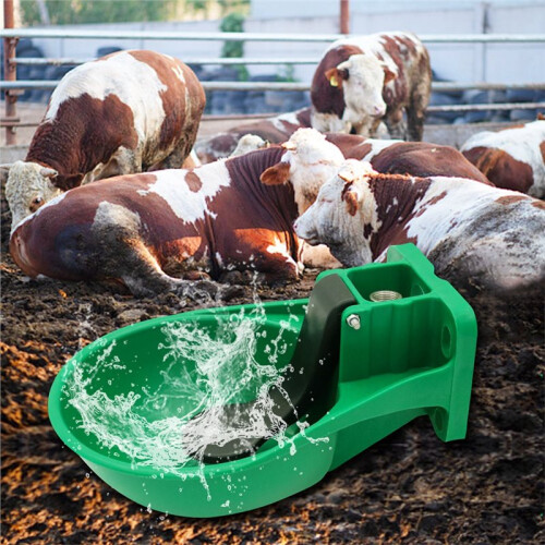 Abbeveratoio Automatico per Bovini,  Capacità, In Plastica, Versatile per Bestiame, per Bovini,  e Asini 2