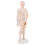 2Pcs Simulation Acupoint Model for Acupuncture Training 1
