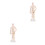 2Pcs Simulation Acupoint Model for Acupuncture Training 5