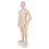 2Pcs Simulation Acupoint Model for Acupuncture Training 3