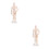 2Pcs Simulation Acupoint Model for Acupuncture Training 4