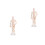 2Pcs Simulation Acupoint Model for Acupuncture Training 6