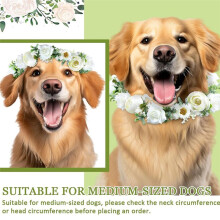 Dog Flower Collar Wedding and Leash Set Pearl for Dogs Pearl Beaded Dog Leash Dog Collar Bows for Wedding Adjustable