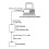 1314-4402 New PC Programmer for Curtis PC Programming Station with 1309 USB Interface Box 1314-4401 4