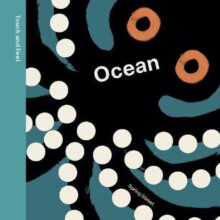 Spring Street Touch and Feel Ocean by Boxer Books Other Book