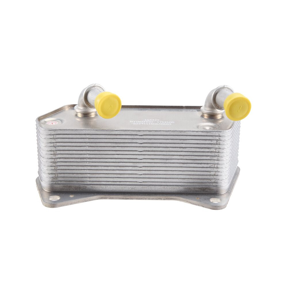 Transmission Oil Cooler 6Dt35-1712100 For S6 S7 M6 Song Max 2.4L Transmission Oil Radiator Car Accessories 6031926695081