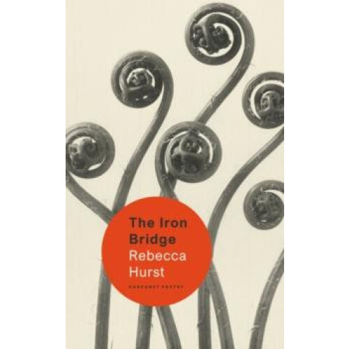 The Iron Bridge by Rebecca Hurst Paperback Book