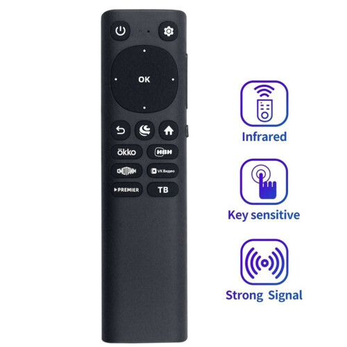 Replace Voice WRC173H Remote Control for SBER SDX WRC173H Remote Control 1