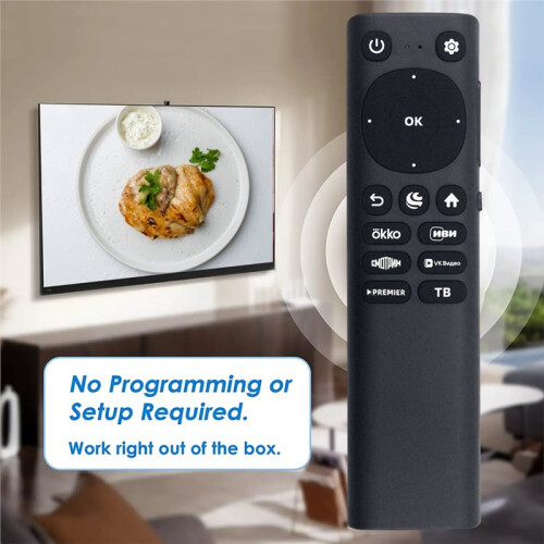 Replace Voice WRC173H Remote Control for SBER SDX WRC173H Remote Control 2