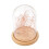 2Pcs Decorative Jar String Lights Glass Dome with Wooden Base Lamp 8