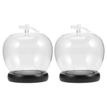 2Pcs Elegant Glass Dome with Wood Base for Preserved Flower Display