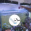 5Pcs Durable White Fish Tank LED Light for Planted Aquatic Landscaping 11