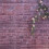 7x5ft Flowers Wall Photography Backdrops Brick Backdrop Spring Stuido Background 6