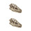 2Pcs White Resin Dinosaur Skeleton Skull Model Decorative Gift 3