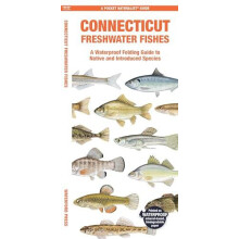 Connecticut Freshwater Fishes by Morris Matthew Waterford Press Other