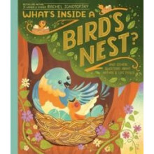 Whats Inside A Birds Nest by Rachel Ignotofsky Hardcover Book