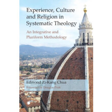 Experience Culture and Religion in Systematic Theology by Edmond ZiKan