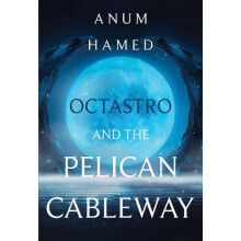 Octastro and the Pelican Cableway by Anum Hamed Paperback Book