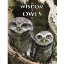Wisdom of Owls Hardcover Book