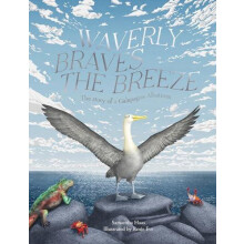 Waverly Braves the Breeze by Samantha Haas Hardcover Book