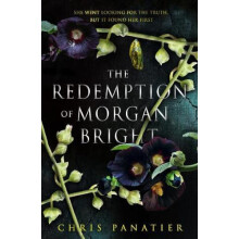 Redemption of Morgan Bright by Chris Panatier Paperback Book
