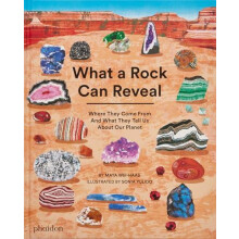 What a Rock Can Reveal by Maya WeiHaas Hardcover Book