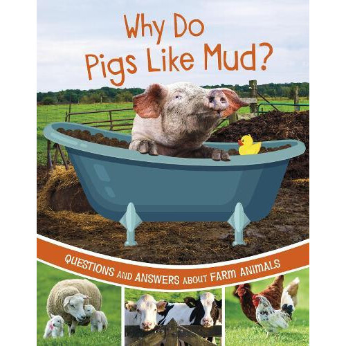 Why Do Pigs Like Mud by Katherine Rawson Paperback Book