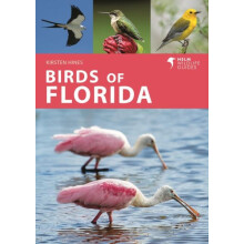 Birds of Florida by Kirsten Hines Paperback Book