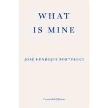 What Is Mine by Jose Henrique Bortoluci Paperback Book