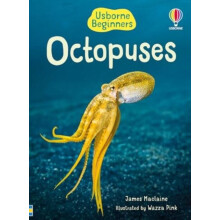 Beginners Octopuses by James Maclaine Hardcover Book