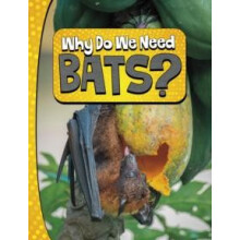 Why Do We Need Bats by Laura K. Murray Hardcover Book