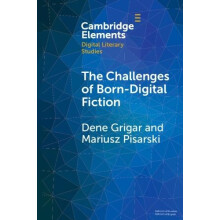 The Challenges of BornDigital Fiction by Mariusz University of Informa
