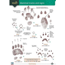 Mammal tracks and signs by Dan Puplett Paperback Book