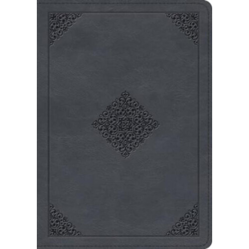 ESV Large Print Wide Margin Bible Other Book