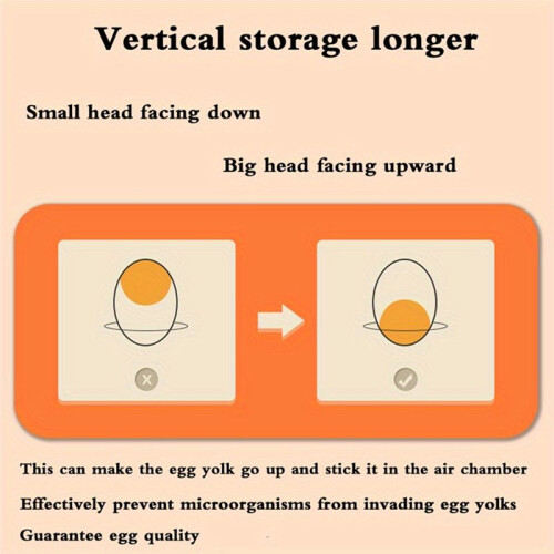 2-Layer Egg Storage Box for Refrigerator - Fresh-Keeping Plastic Drawer Organizer, Large Capacity Kitchen Rack White 2