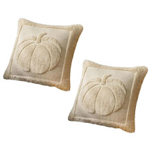 Paquete de 2 Fundas de Almohada de Otoño con Bordado de Calabaza Beige Otoñal. Fundas de Cojín de Piel Sintética de Felpa Suave. A